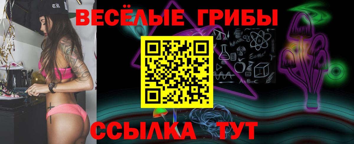 Псилоцибиновые грибы Cubensis  Вход с VPN  Урюпинск 